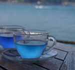【葉山・湘南】海辺の特等席。白亜の洋館レストラン「ラ・マーレ」で過ごす優雅な時間 | Seaside Fine Dining at La Maree, Hayama | Shonan Luxury Restaurant