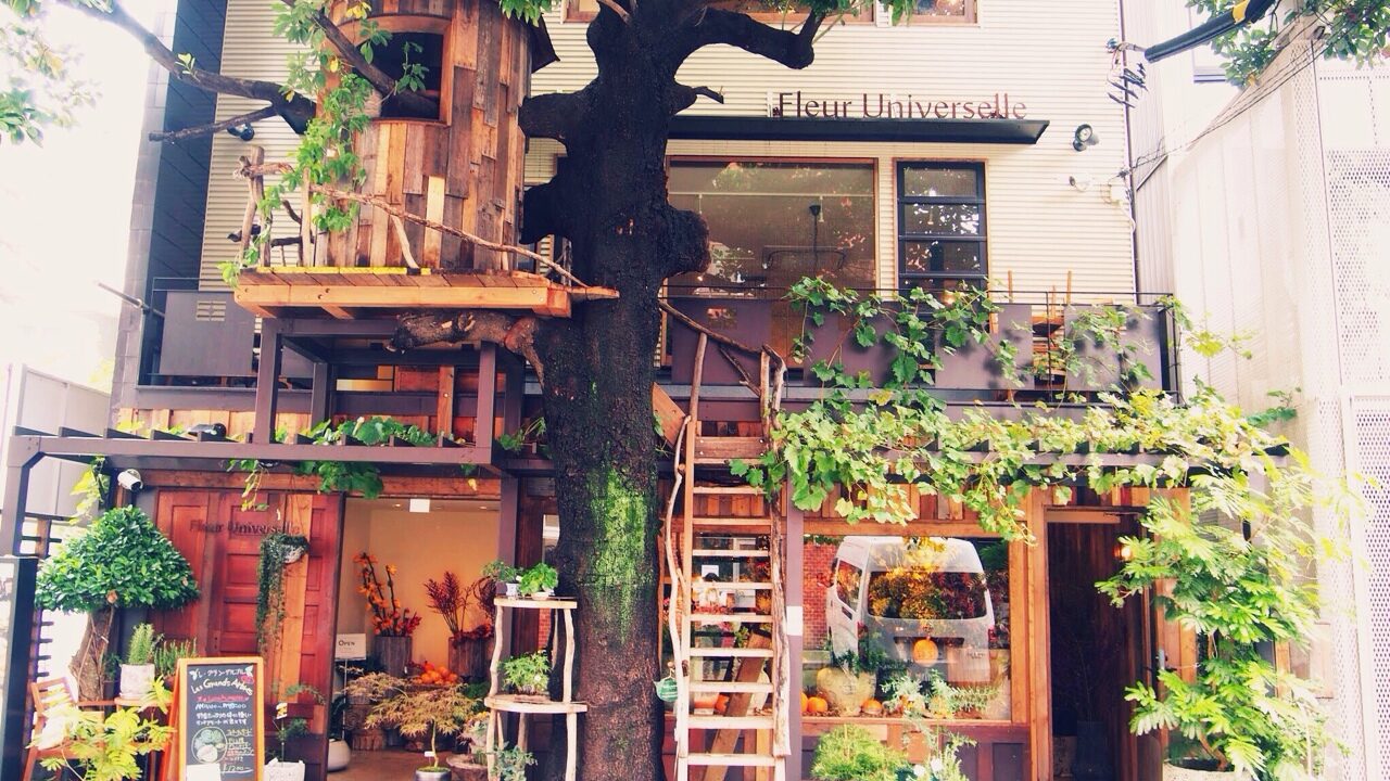 Les Grands Arbres hiroo 201406