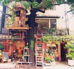 【閉店】広尾の緑の隠れ家。ツリーハウス風の癒し空間で楽しむランチ レ・グラン・ザルブル 広尾