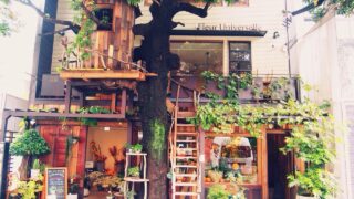 Les Grands Arbres hiroo 201406