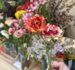 高輪のまちびらきで見つけた花屋。ボワドゥギで選んだ2本 | Flowers at the Takanawa Opening